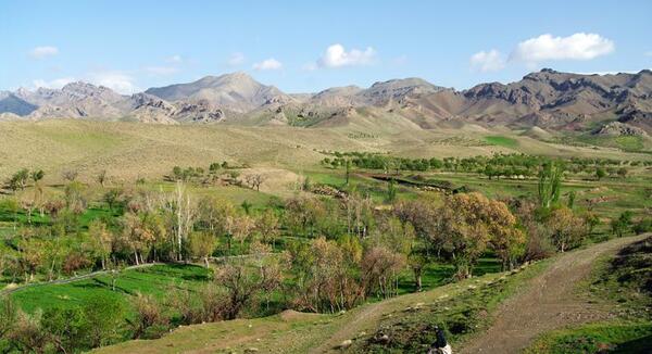 عکس روستای صنوبر تربت حیدریه