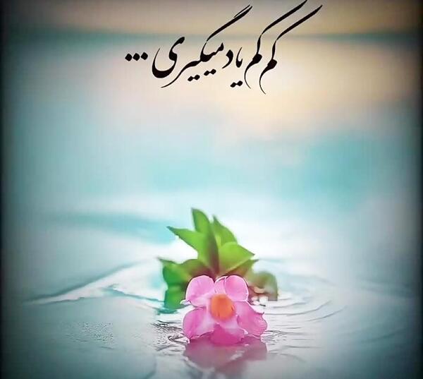 عکس وضعیت واتساپ خاص