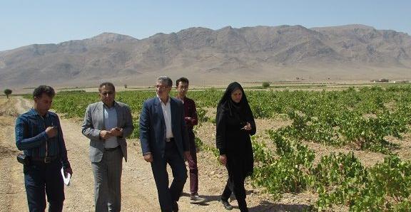 عکس روستای حوض ماهی
