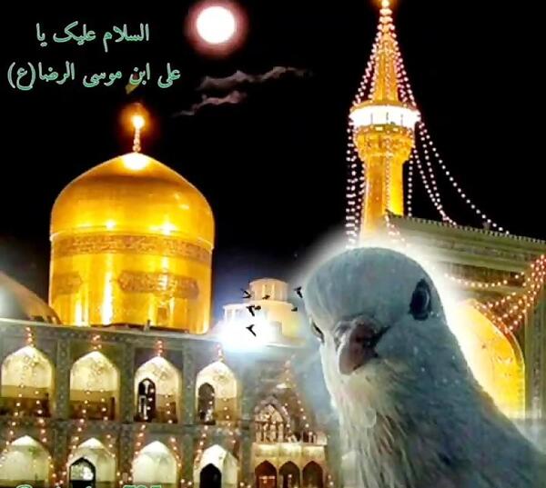 آپارات عکس حرم امام رضا
