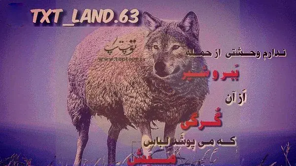 عکس روباه صفتان