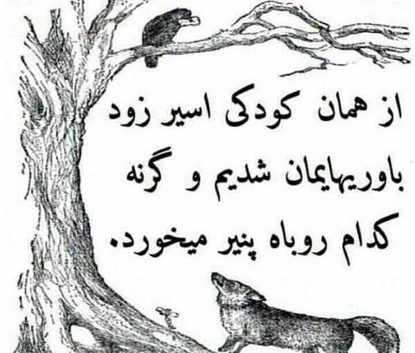 عکس روباه صفتان