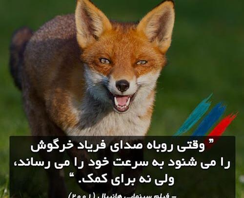 عکس روباه صفتان
