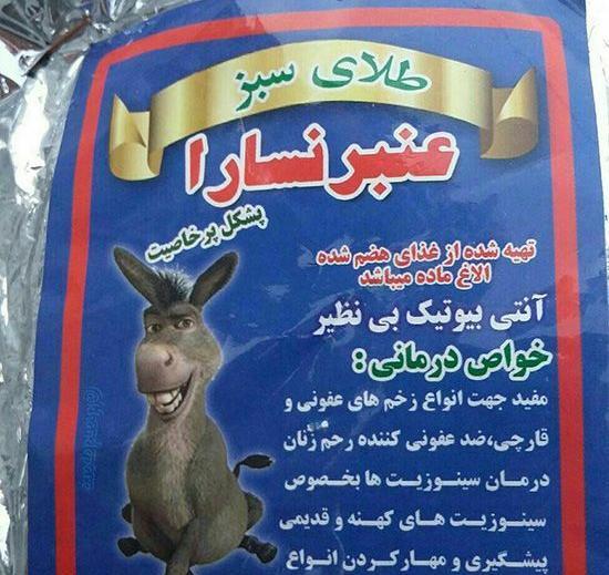 عکس های خنده دار خیلی بی ادبی