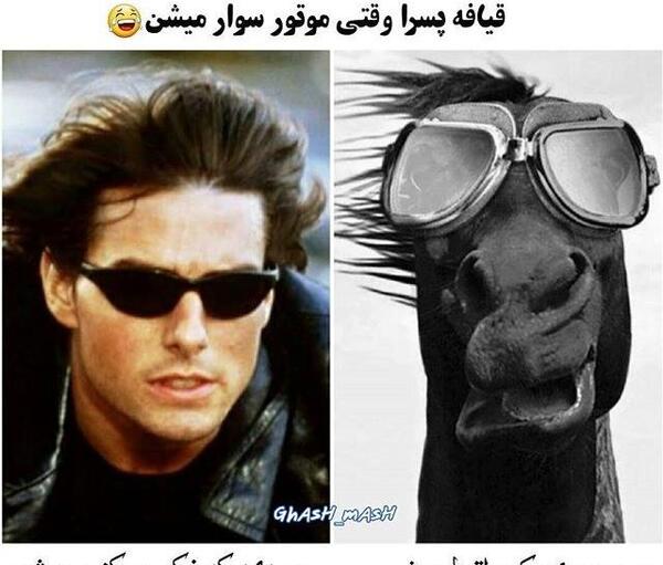 عکس های خنده دار خیلی بی ادبی