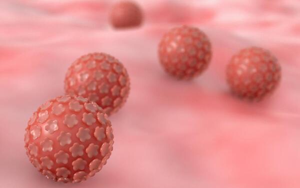 عکس ویروس hpv در زنان