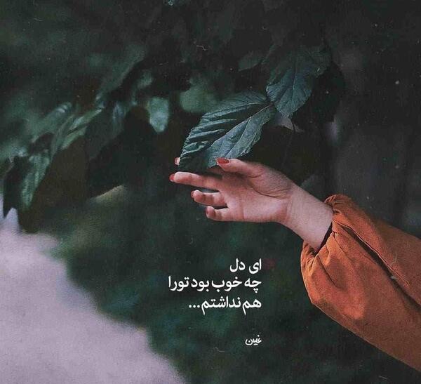 عکس نوشته