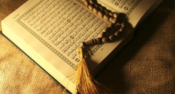عکس حیوانات مسخ شده