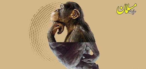 عکس حیوانات مسخ شده