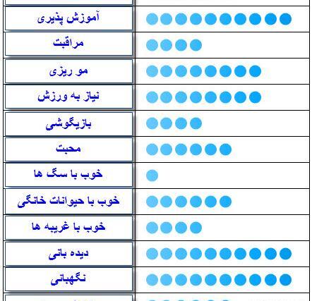 عکس وسایل سگ ژرمن شپرد