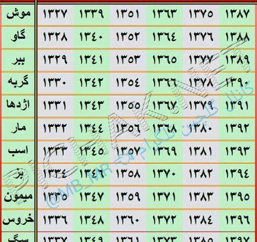 عکس حیوانات سال ها