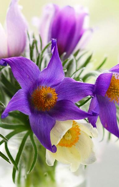 عکس تصویر زمینه گوشی جذاب