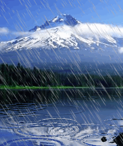 عکس زیبای طبیعت متحرک