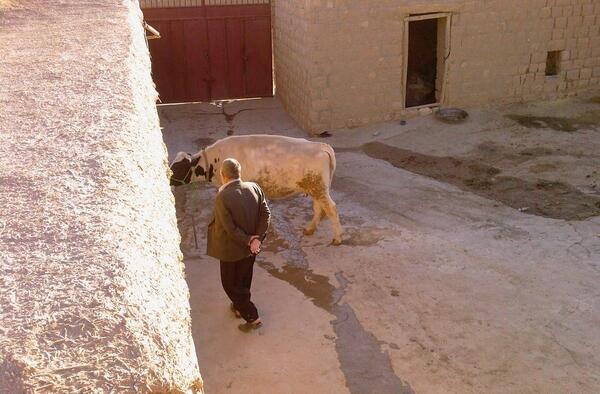 عکس روستای سرطرهان