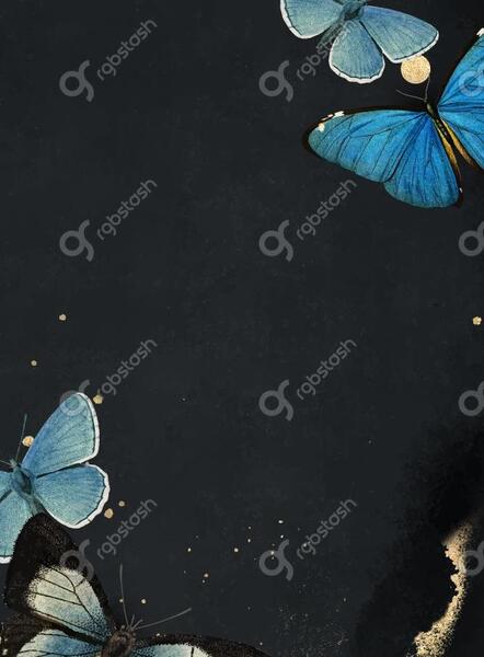 عکس زمینه پروانه