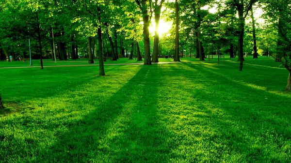 عکس منظره محرم