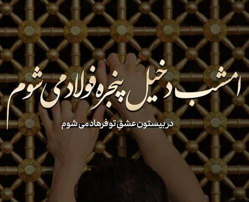 عکس پروفایل وحید مرادی