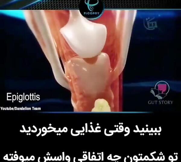 عکس ساده دستگاه گوارش