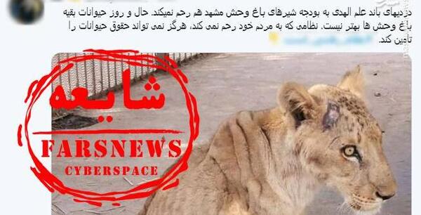 عکس شیر فیلم شیر