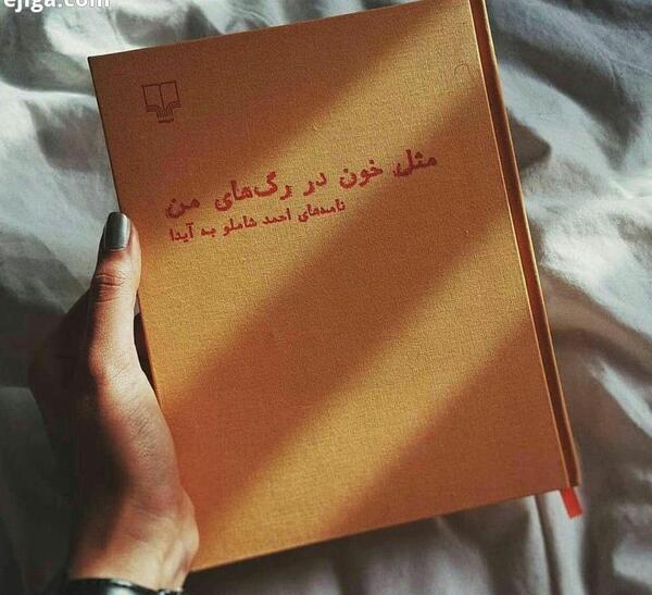 عکس کتاب مثل خون در رگهای من