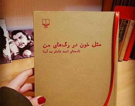 عکس کتاب مثل خون در رگهای من