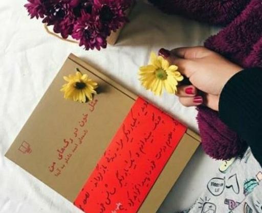 عکس کتاب مثل خون در رگهای من