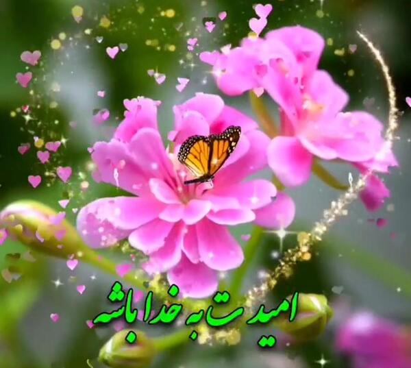 عکس سال نو برای وضعیت واتساپ