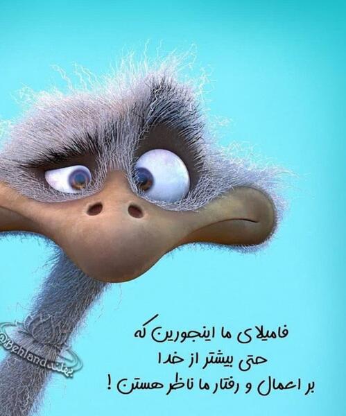 عکس استوری فان
