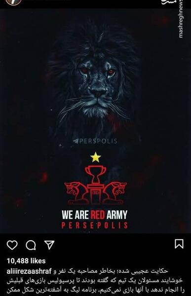 عکس شیر پرسپولیسی