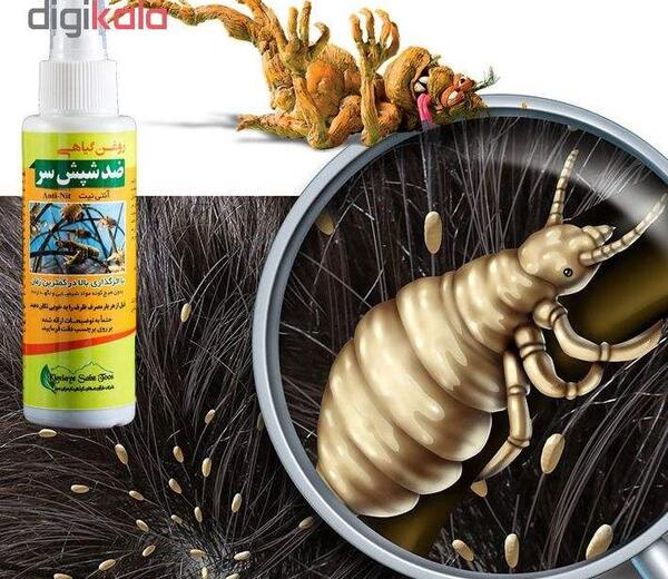 عکس شپش گوسفندی