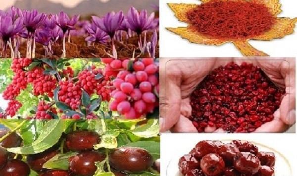 عکس زرشک و زعفران