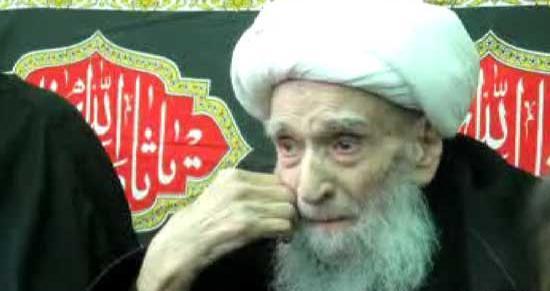 عکس لطف الله صافی گلپایگانی