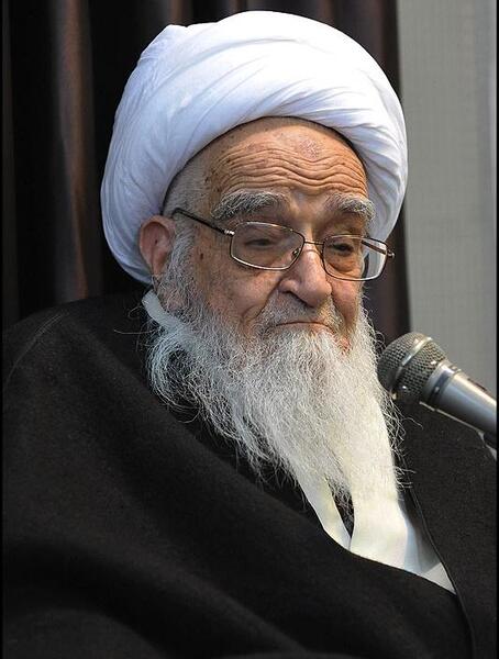 عکس لطف الله صافی گلپایگانی