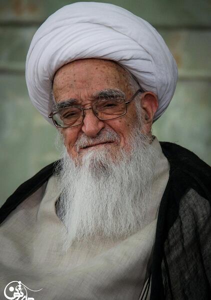 عکس لطف الله صافی گلپایگانی