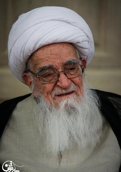 عکس لطف الله صافی گلپایگانی