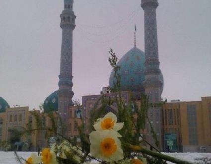 عکس گل نرگس کنار حرم