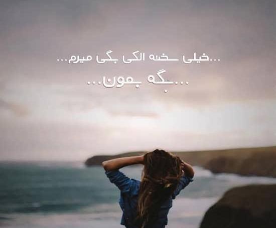 عکس تنهایی خود را در آب