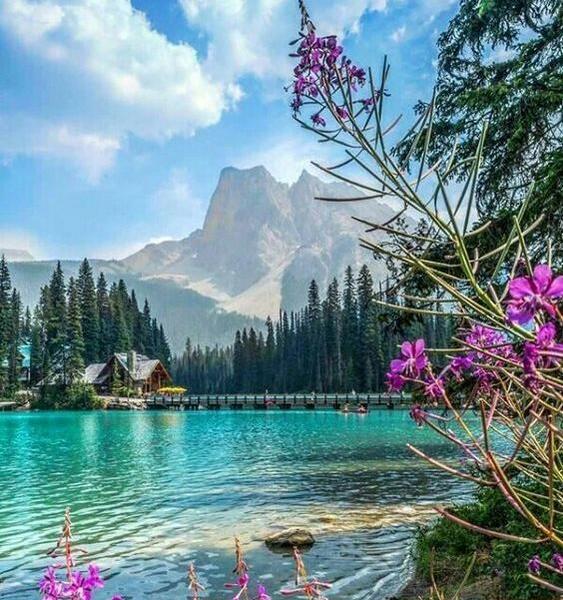 عکس زیبا طبیعت برای پروفایل واتساپ