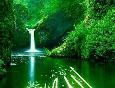 عکس زیبا طبیعت برای پروفایل واتساپ