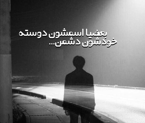 عکس گربه صفت