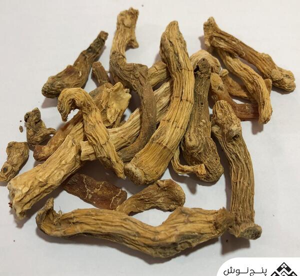 عکس ریشه زرشک