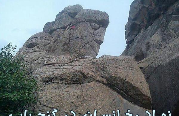عکس روباه در دفینه یابی