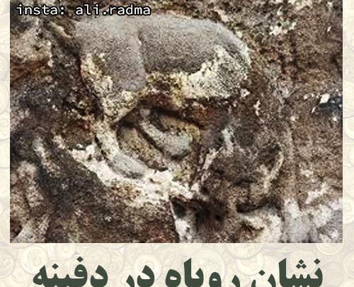 عکس روباه در دفینه یابی