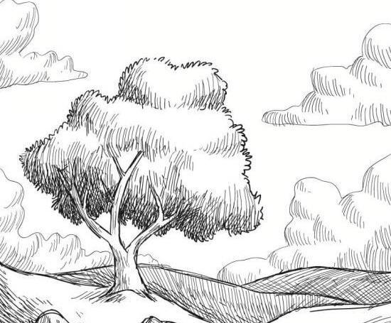 عکس از طبیعت طراحی