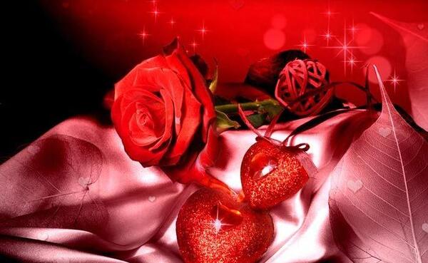 عکس های عاشقانه گل های زیبا