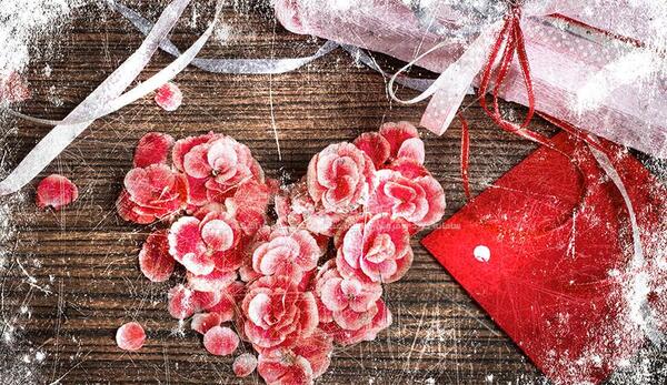 عکس قلب و گل های زیبا