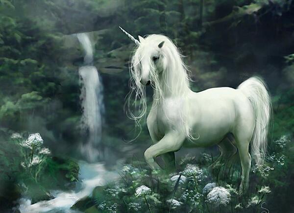 عکس اسب زیبا در طبیعت