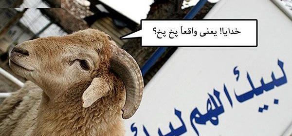 عکس های خنده دار عید قربان