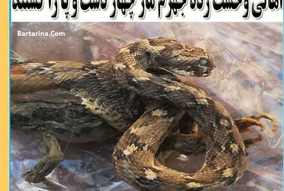 عکس شهر جهرم