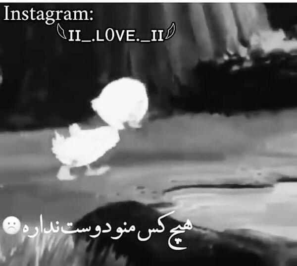 عکس نوشته غمگین هیچکی دوسم نداره
